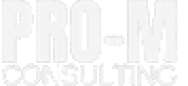 Pro M Consulting